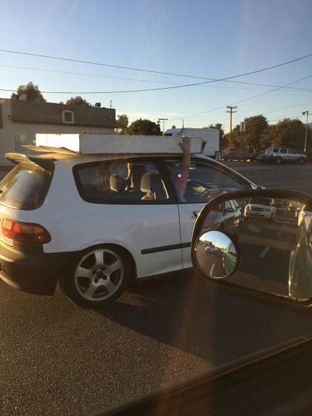 Morning Picdump