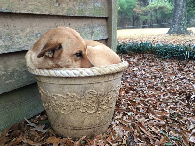 Morning Picdump