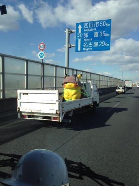 Morning Picdump
