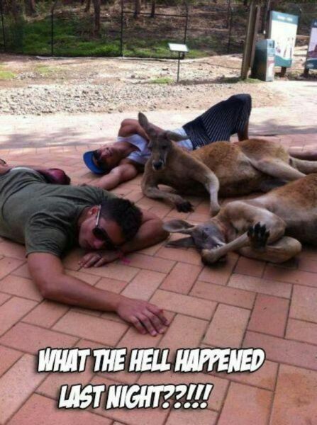 This Might Be the Effects of One Drink too Many