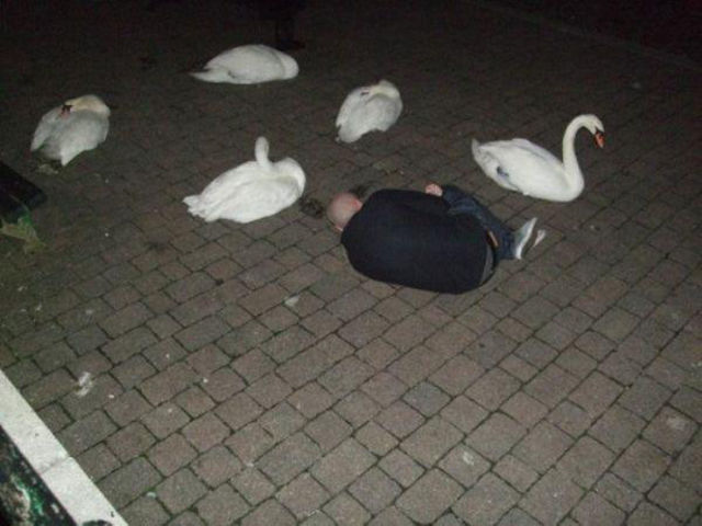 This Might Be the Effects of One Drink too Many