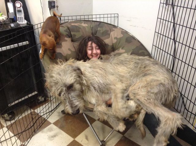 Morning Picdump