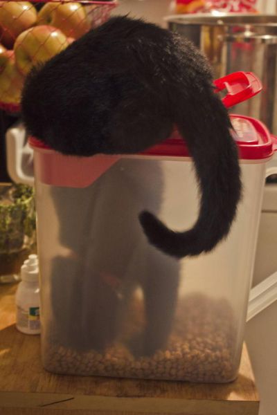 Morning Picdump