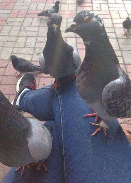 Content Image