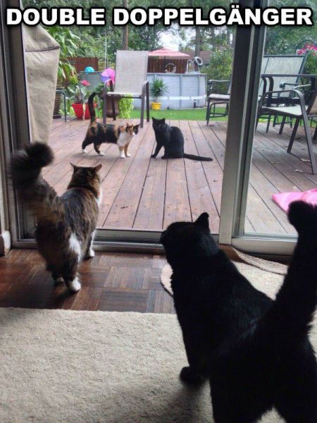 Life Is Full of Funny Coincidences