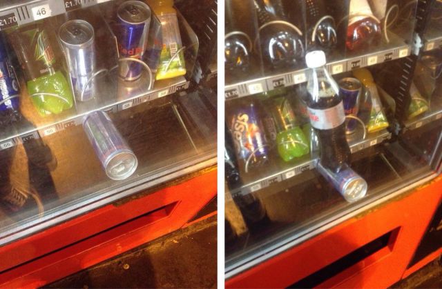 Morning Picdump