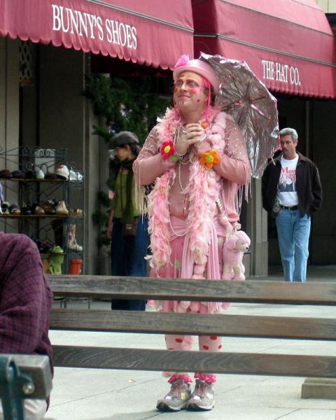 Morning Picdump