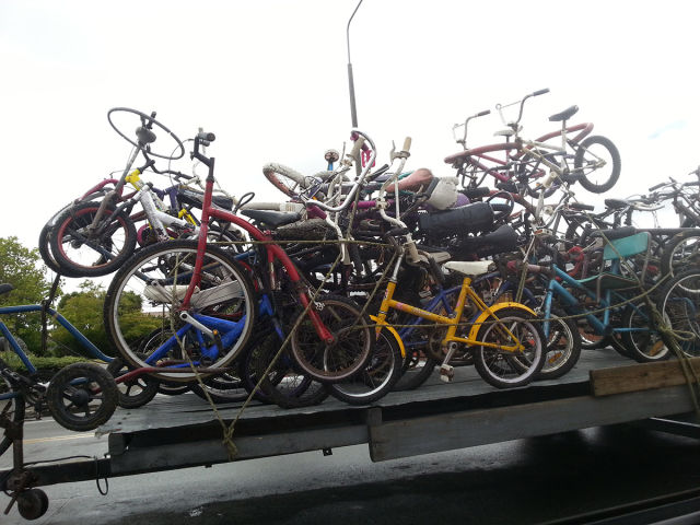 Morning Picdump