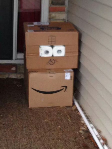 Morning Picdump