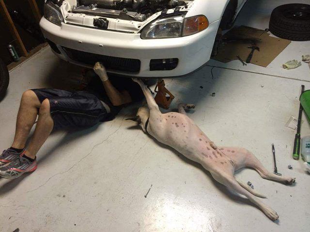 Content Image