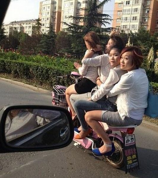 Daily Picdump