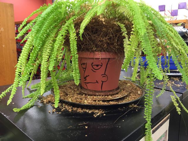 Content Image