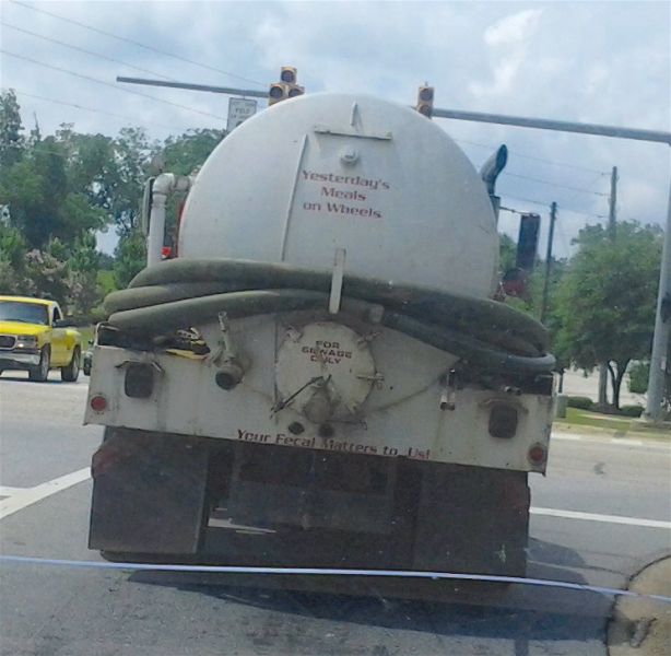 Morning Picdump