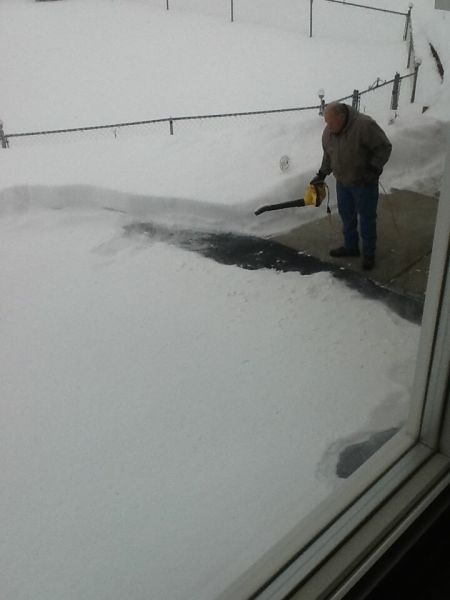 Morning Picdump