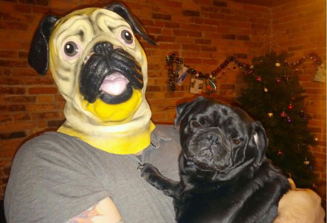 Morning Picdump
