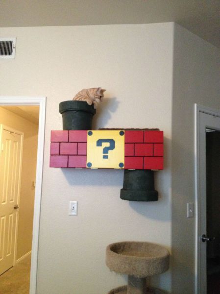 Content Image