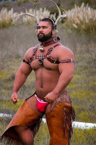 Morning Picdump