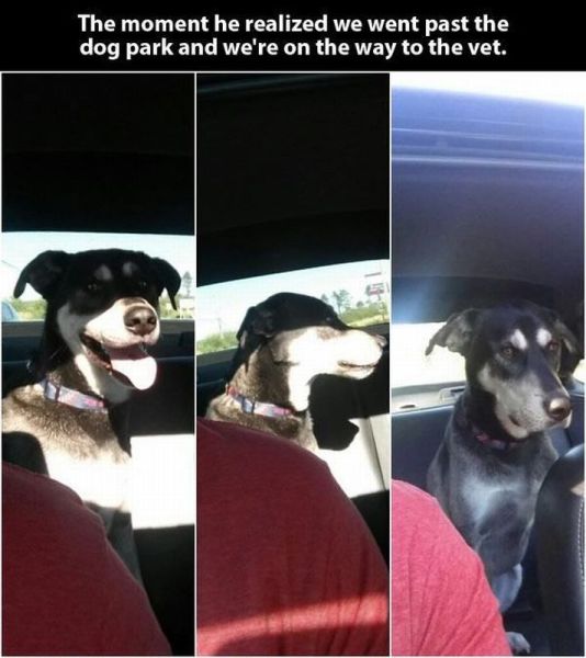 Morning Picdump