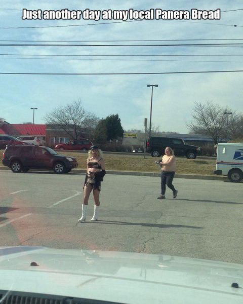 Morning Picdump