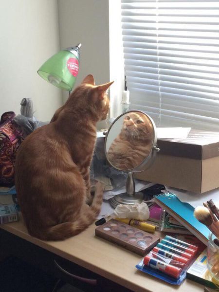 Morning Picdump