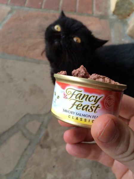 Morning Picdump