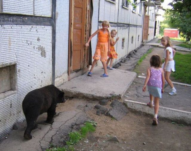 Morning Picdump