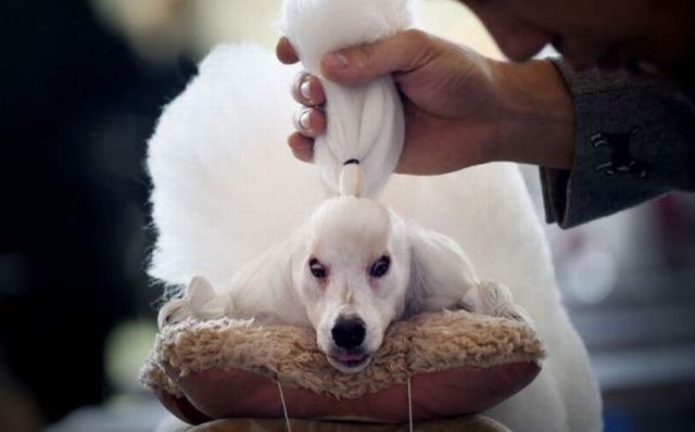 Morning Picdump
