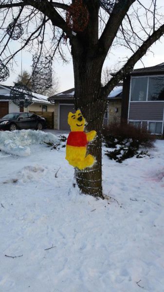Morning Picdump