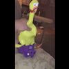 Content Image