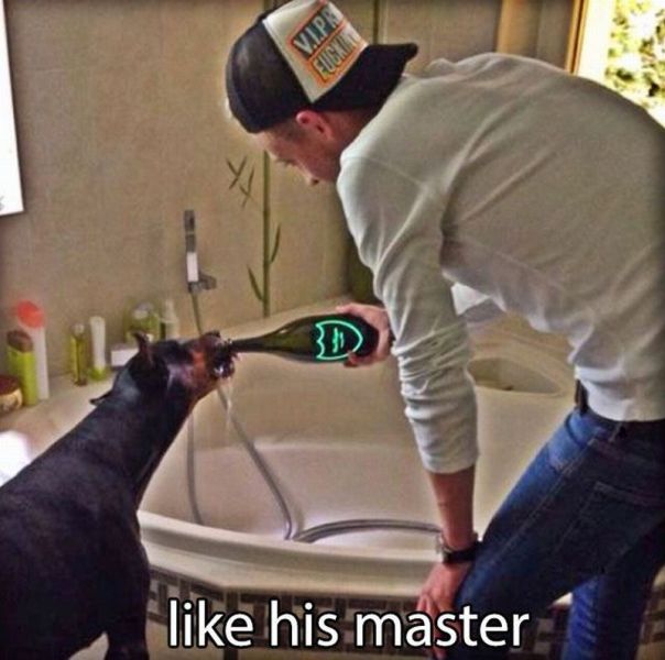 Content Image