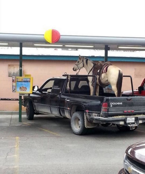 Morning Picdump