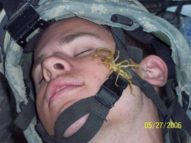 Morning Picdump