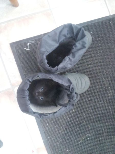 Morning Picdump