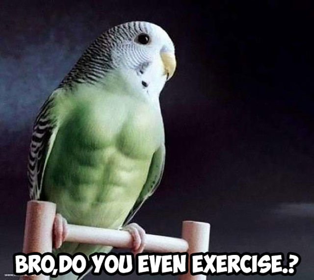 Funny Picdump