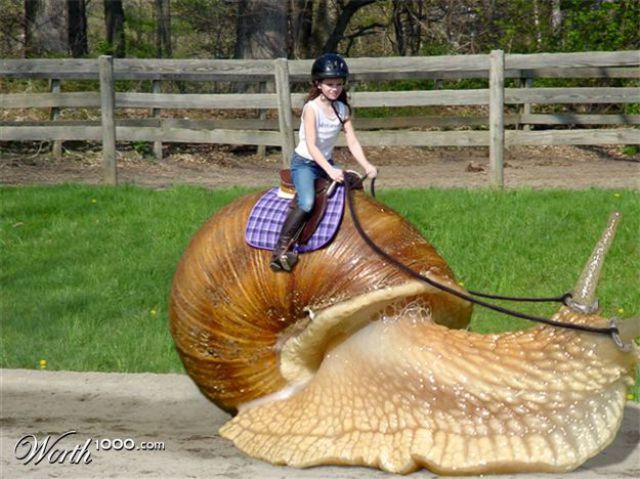 Funny Picdump