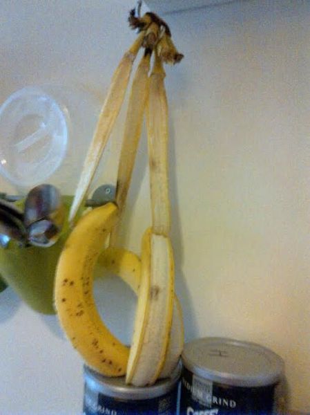 Content Image