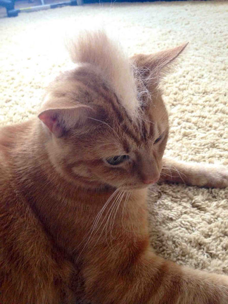 Morning Picdump