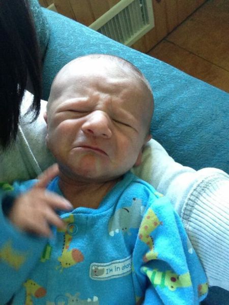 Morning Picdump