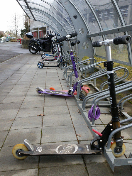 Morning Picdump