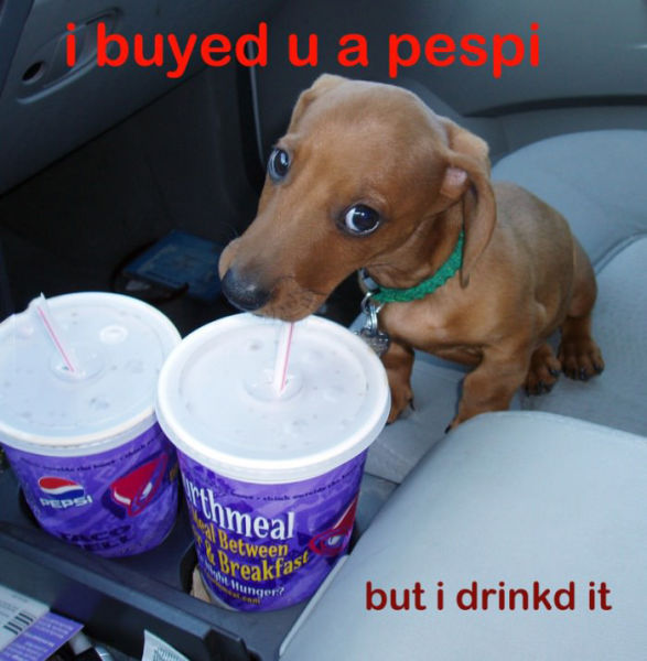 Funny Picdump