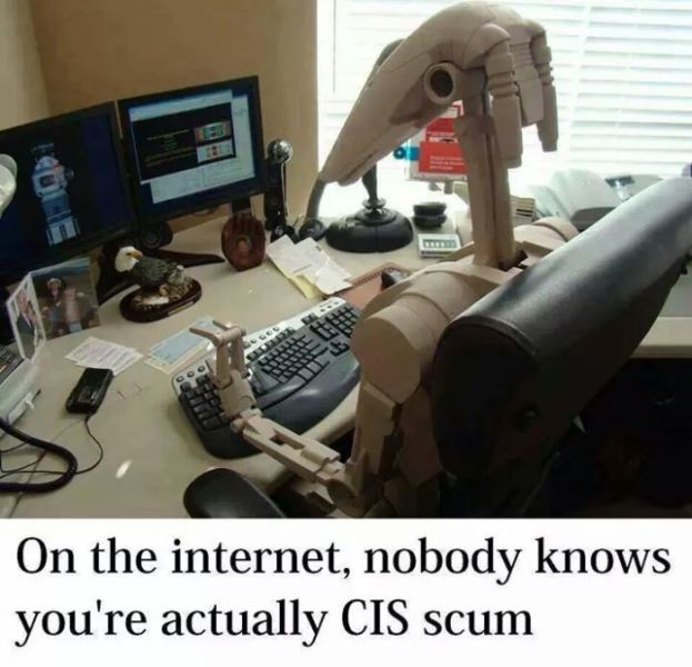 Content Image