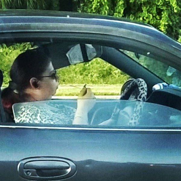 Morning Picdump