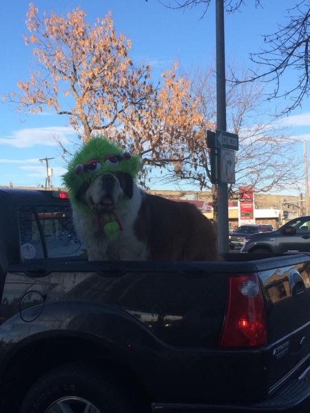 Content Image