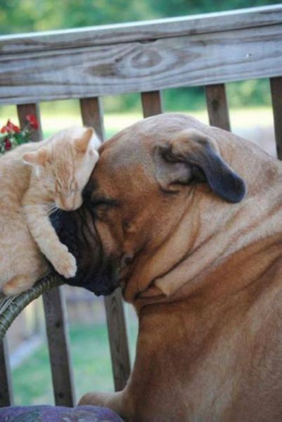 Morning Picdump