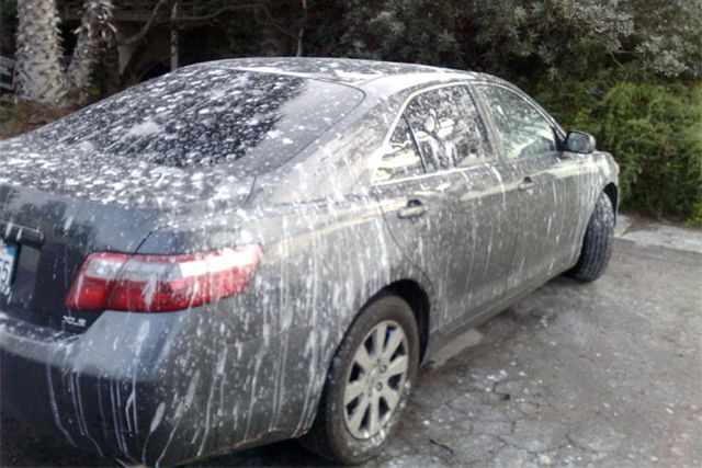 Morning Picdump