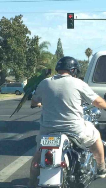 Morning Picdump