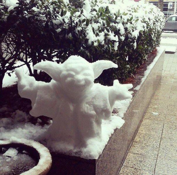 Content Image