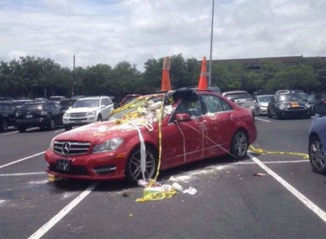 Content Image