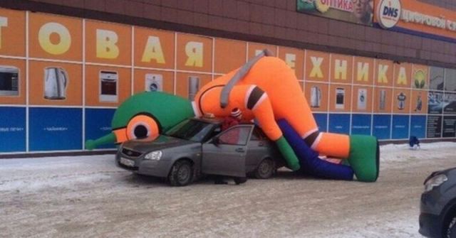 Daily Picdump