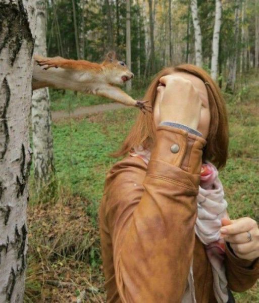 Daily Picdump